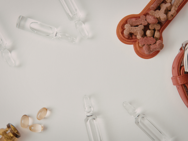 Sürdürülebilirlik