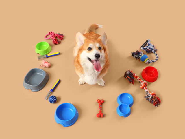 Premium Evcil Hayvan Maması